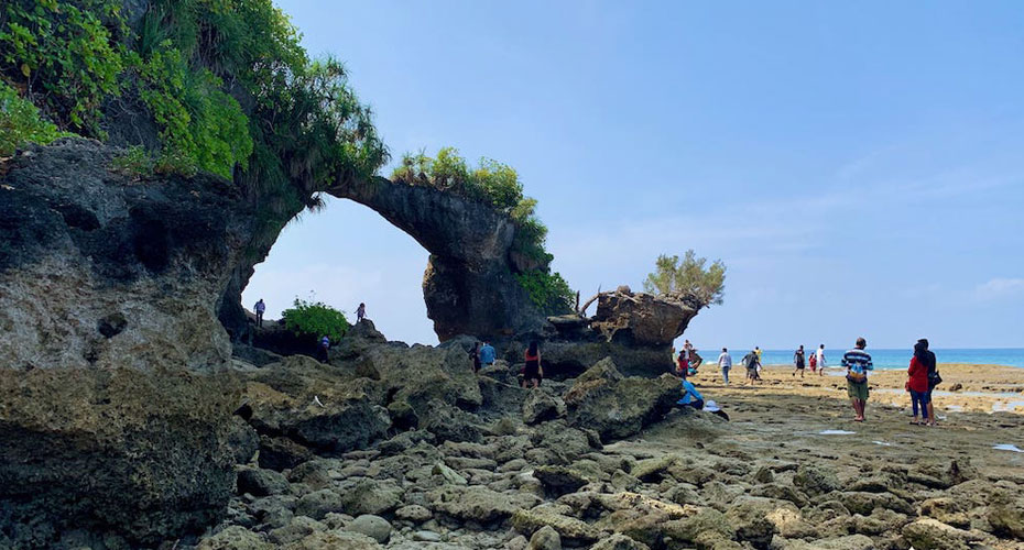 Outdoor adventure in a tropical landscape