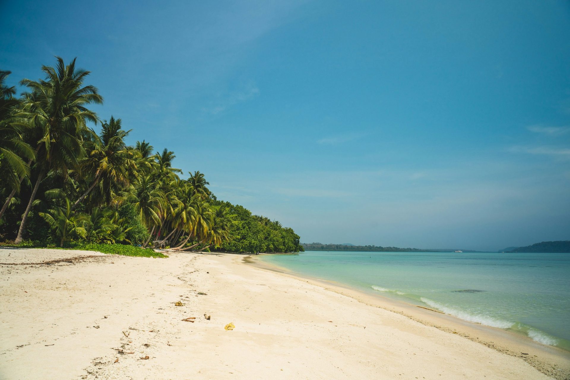 White-sand Andaman beach lined with palm trees